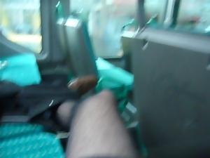 touch in bus(no cum)