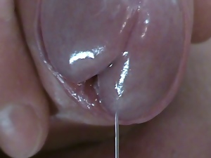 Drooling Pre-Cum from Uncut Cock, Extreme Close-Up