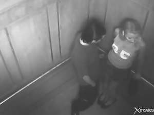 Elevator security cam gets couple fucking